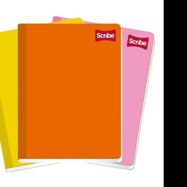 CUADERNO PROF. CLASICO SCRIBE 4508 C14 COS. 100H. C.24